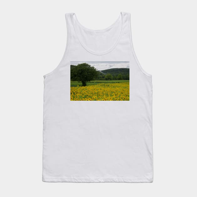 850_4919 Tank Top by wgcosby